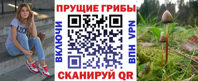Псилоцибиновые грибы мицелий  Новоузенск 